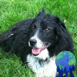 Meet your Posher, Tom